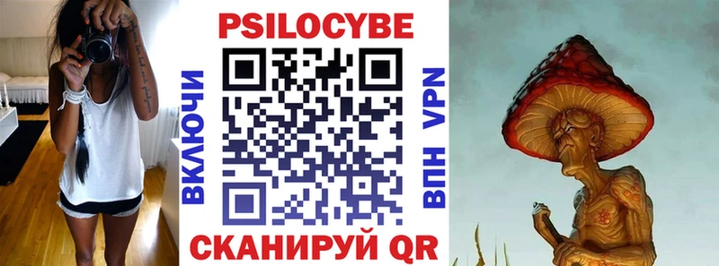 кракен как зайти Усть-Кут Галлюциногенные грибы прущие грибы