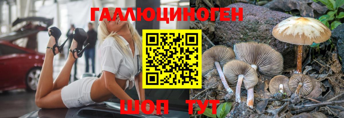 Псилоцибиновые грибы мицелий  Усть-Кут 